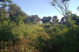 Development Land (Residential) for Sale in Boscobel