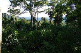 Development Land (Residential) for Sale in Boscobel