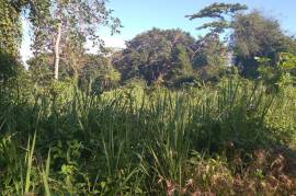 Development Land (Residential) for Sale in Boscobel