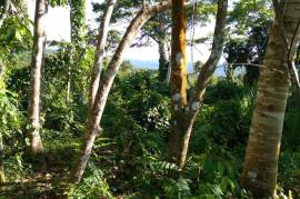 Development Land (Residential) for Sale in Boscobel