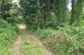 Development Land (Residential) for Sale in Boscobel