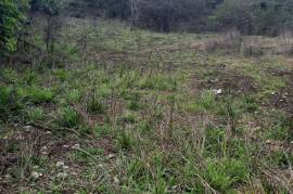 Development Land (Residential) for Sale in Green Island