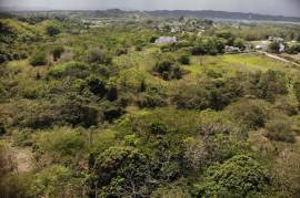 Development Land (Residential) for Sale in Green Island