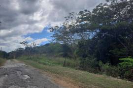 Development Land (Residential) for Sale in Green Island