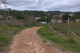 Development Land (Residential) for Sale in Mandeville