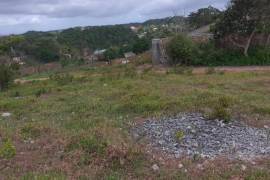 Development Land (Residential) for Sale in Mandeville