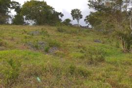 Development Land (Residential) for Sale in Mandeville