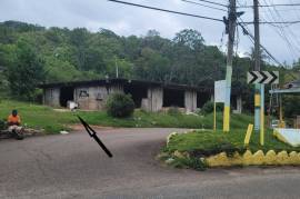 Development Land (Residential) for Sale in Mandeville