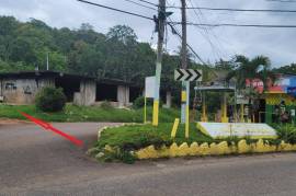 Development Land (Residential) for Sale in Mandeville