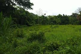 Development Land (Residential) for Sale in Cambridge