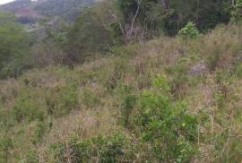 Development Land (Residential) for Sale in Mandeville