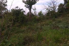 Development Land (Residential) for Sale in Mandeville