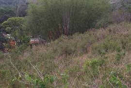 Development Land (Residential) for Sale in Mandeville