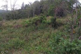 Development Land (Residential) for Sale in Mandeville