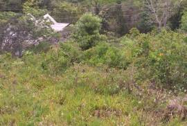 Development Land (Residential) for Sale in Mandeville