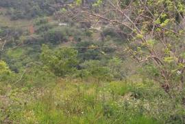 Development Land (Residential) for Sale in Mandeville