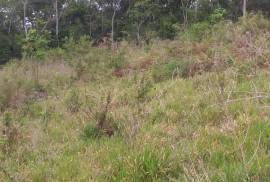 Development Land (Residential) for Sale in Mandeville