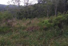 Development Land (Residential) for Sale in Mandeville