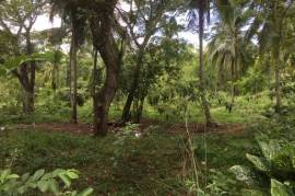 Development Land (Residential) for Sale in Oracabessa