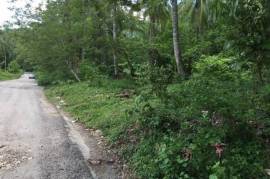 Development Land (Residential) for Sale in Oracabessa