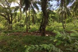 Development Land (Residential) for Sale in Oracabessa