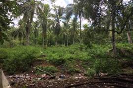 Development Land (Residential) for Sale in Oracabessa