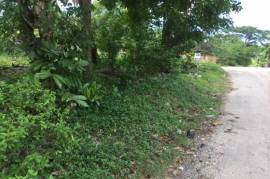 Development Land (Residential) for Sale in Oracabessa