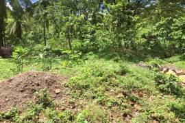 Development Land (Residential) for Sale in Oracabessa