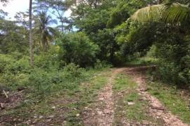 Development Land (Residential) for Sale in Oracabessa