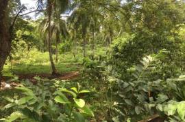 Development Land (Residential) for Sale in Oracabessa