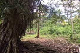 Development Land (Residential) for Sale in Oracabessa