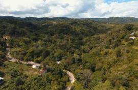 Development Land (Residential) for Sale in Ocho Rios