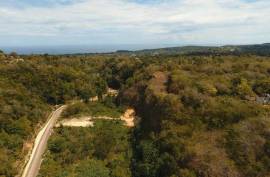 Development Land (Residential) for Sale in Ocho Rios