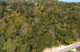 Development Land (Residential) for Sale in Ocho Rios