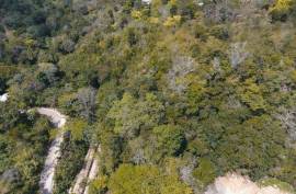 Development Land (Residential) for Sale in Ocho Rios