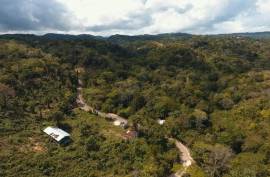 Development Land (Residential) for Sale in Ocho Rios