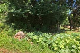 Development Land (Residential) for Sale in Kingston 19