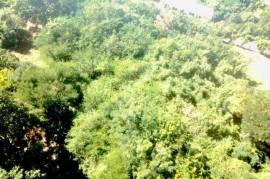 Development Land (Residential) for Sale in Kingston 19