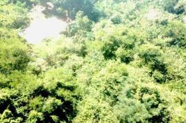 Development Land (Residential) for Sale in Kingston 19