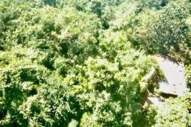 Development Land (Residential) for Sale in Kingston 19