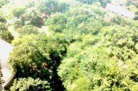 Development Land (Residential) for Sale in Kingston 19