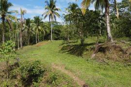 Development Land (Residential) for Sale in Montego Bay