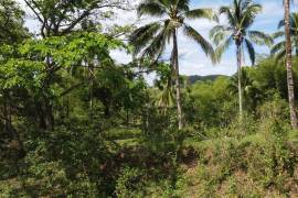 Development Land (Residential) for Sale in Montego Bay