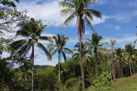 Development Land (Residential) for Sale in Montego Bay