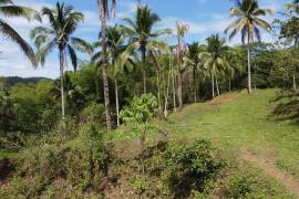 Development Land (Residential) for Sale in Montego Bay