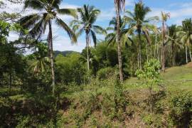 Development Land (Residential) for Sale in Montego Bay