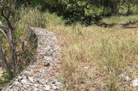 Development Land (Residential) for Sale in Annotto Bay