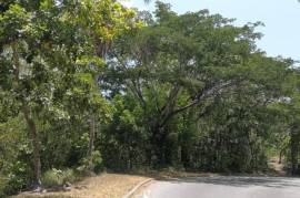 Development Land (Residential) for Sale in Annotto Bay