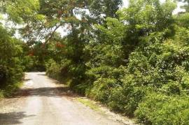 Development Land (Residential) for Sale in Willmington