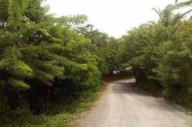 Development Land (Residential) for Sale in Willmington